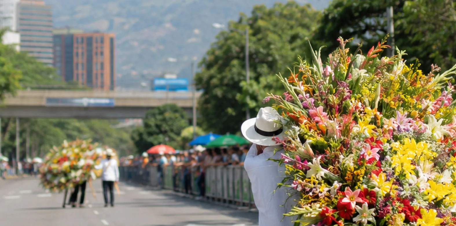 medellin